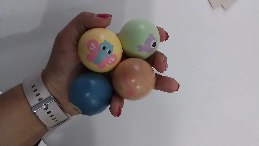 Foto do primeiro aluguel